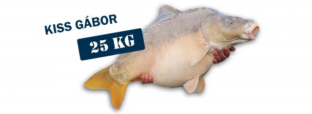 NBBH - Nemzetközi Balatoni Bojlis Horgászverseny